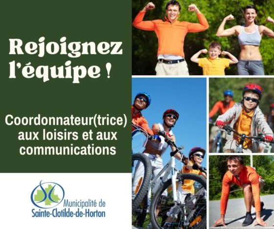 OFFRE D&rsquo;EMPLOI : COORDONNATEUR(TRICE) DES LOISIRS ET AUX COMMUNICATIONS
