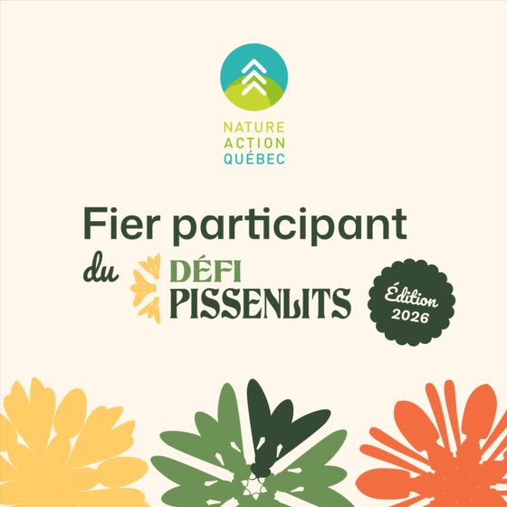 Défi pissenlits 2026